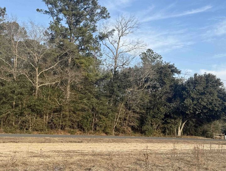 Property Photo:  120 Rough Horn Rd  NC 28438 