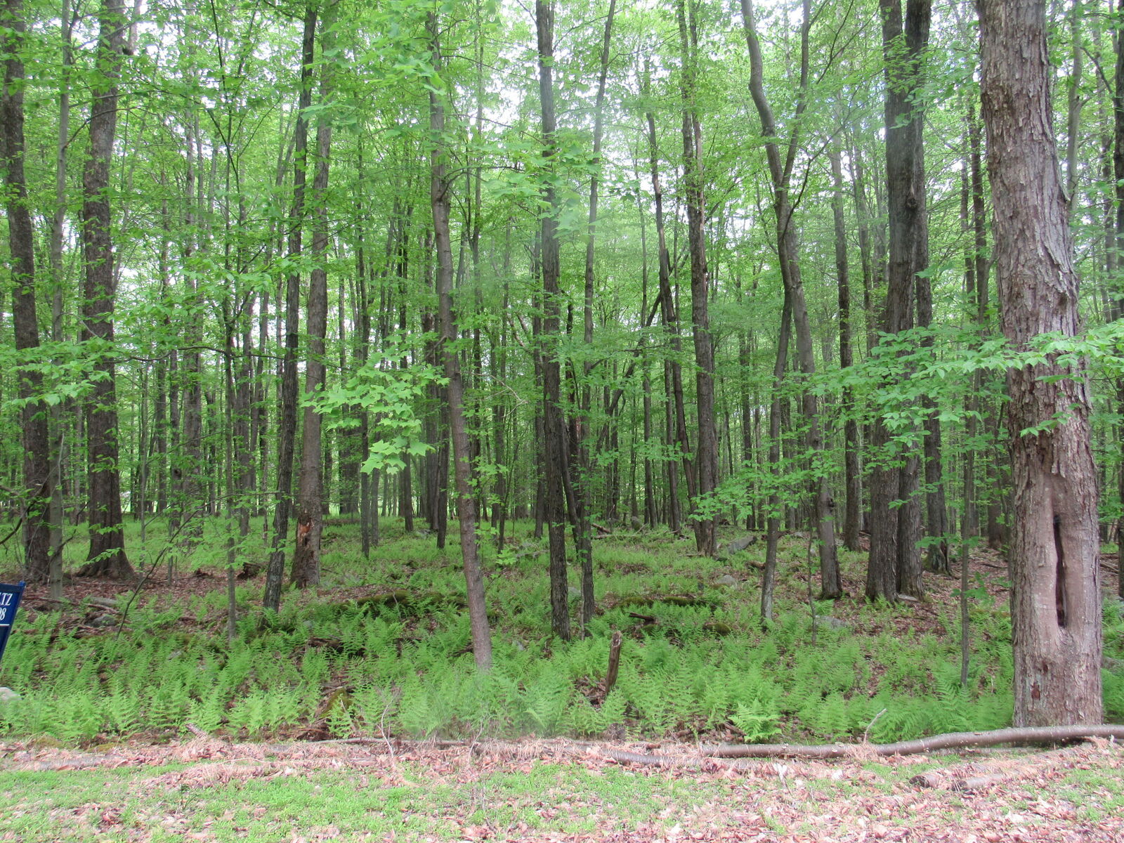 Property Photo:  17 Cap Haiten  PA 15801 