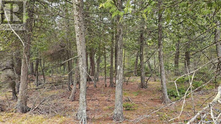 Property Photo:  Lt 255 Pedwell Pt. Drive  ON N0H 2R0 