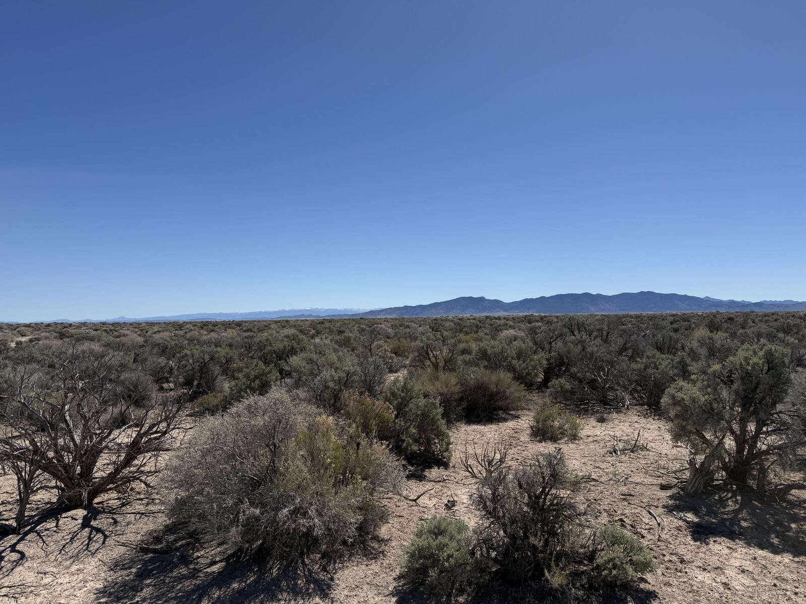 Property Photo: 80 Acres (E-1271-0004-0036) UT 84714