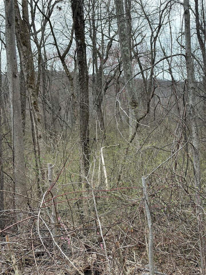 Property Photo:  Wells  NY 12550 