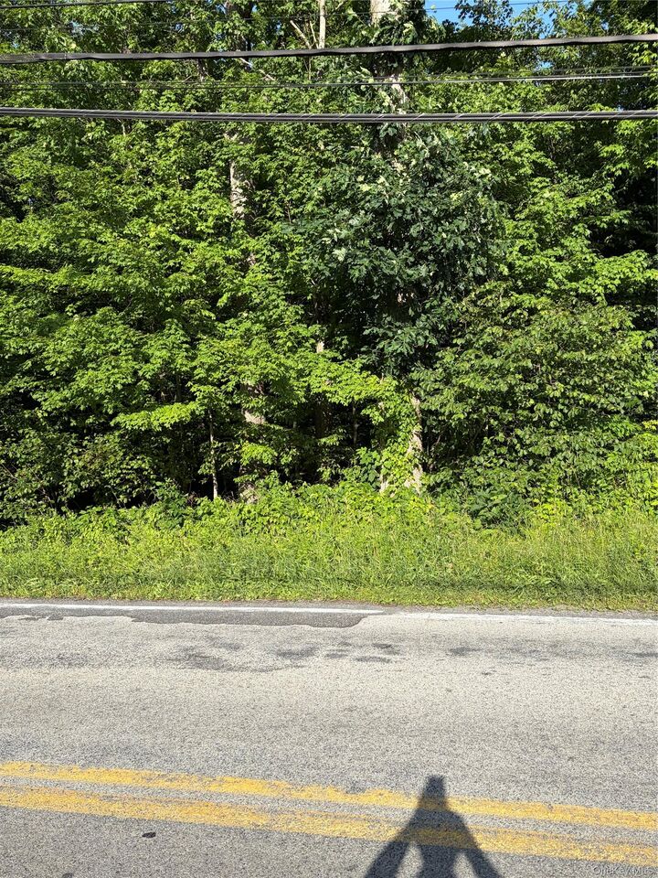 Property Photo: Wells Road NY 12550