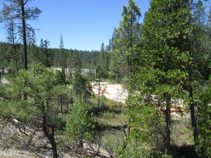Property Photo:  15699 Tyler Foote Road  CA 95959 
