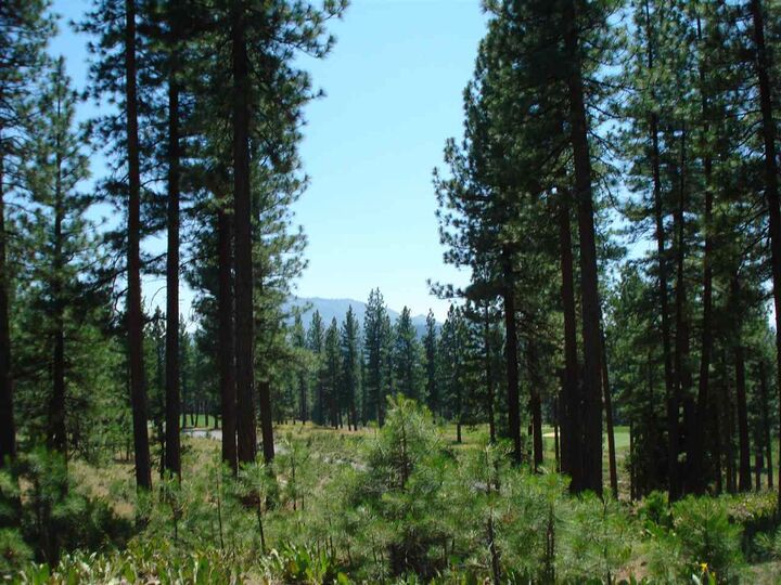 Property Photo: 69 Blacktail Ridge CA 96122