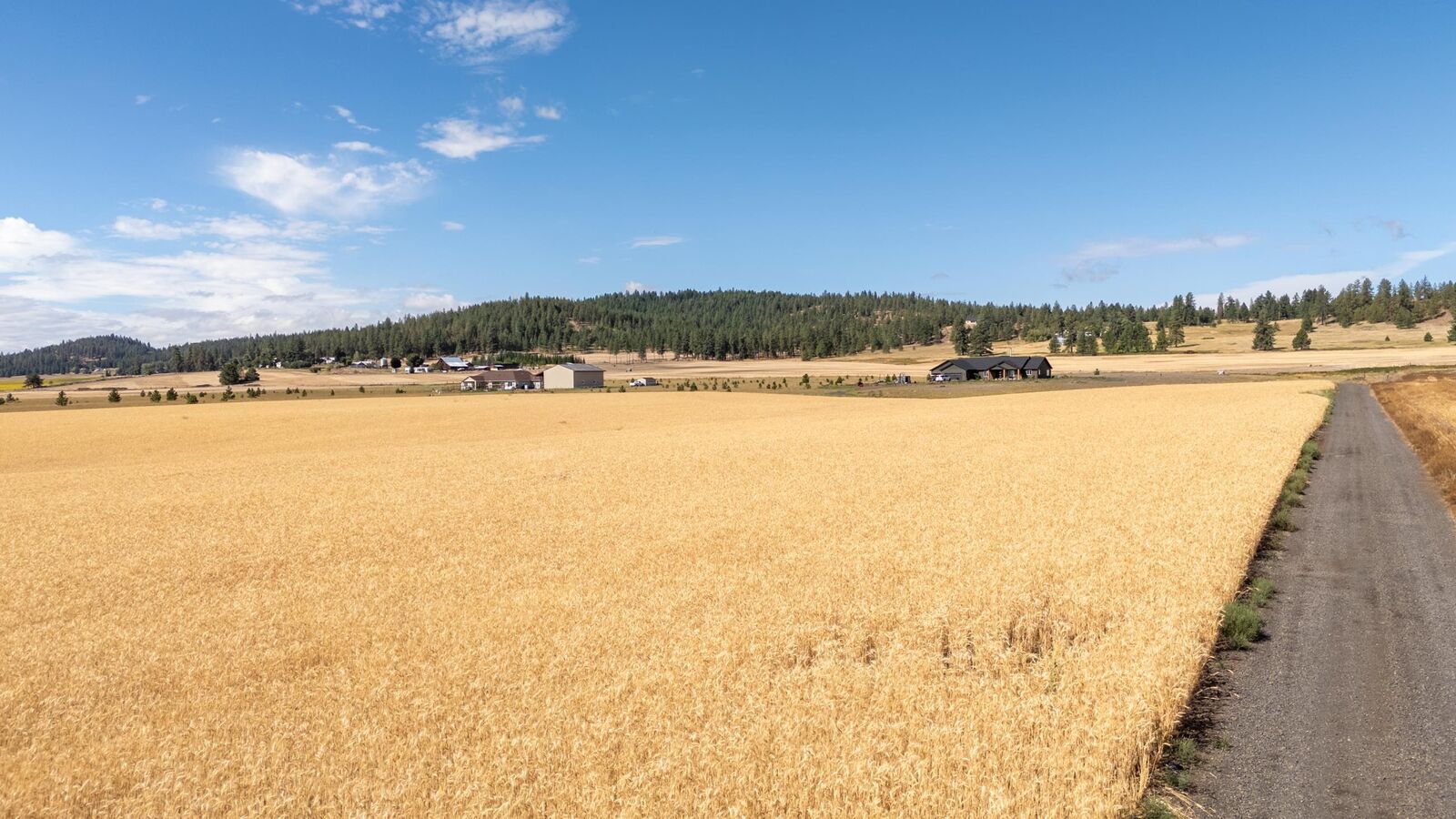 Property Photo: 24xxx N Spotted Rd WA 99006