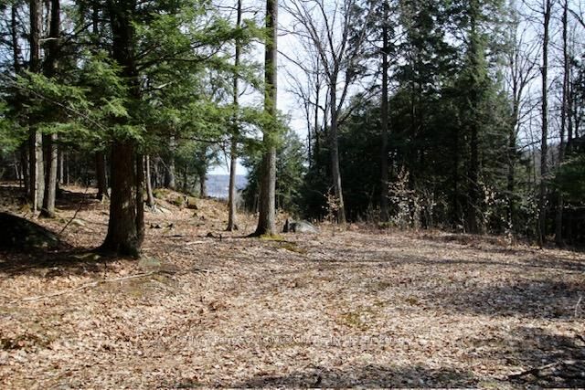 22 Gryffin Bluffs Lane 6 — photo 1