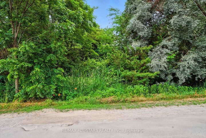 Property Photo:  Lot 61 Summer Drive  ON K0M 2C0 