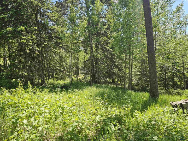 Property Photo:  Tbd Terry Peak Summit Rd  SD 57754 