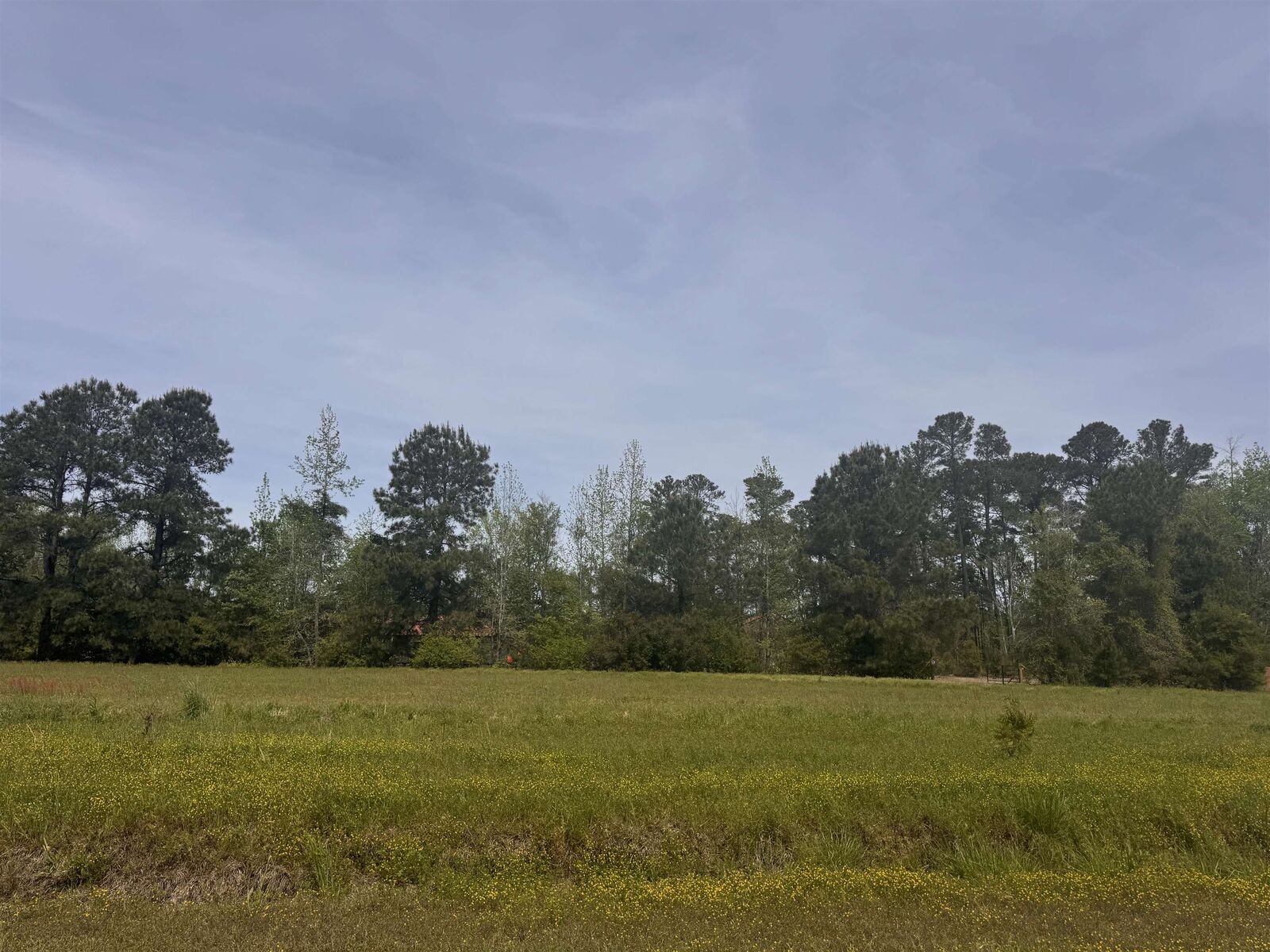Property Photo:  1991 Church Rd.  SC 29545 