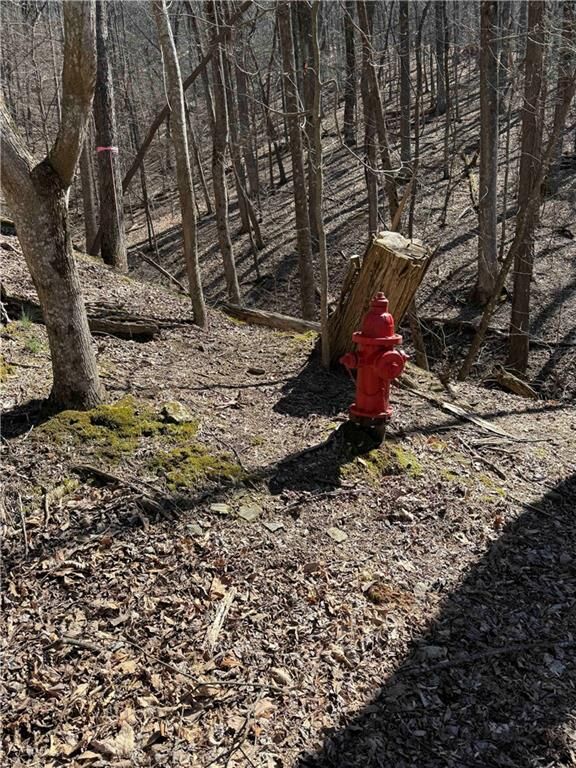 Property Photo:  3366 Crippled Oak Trail  GA 30143 