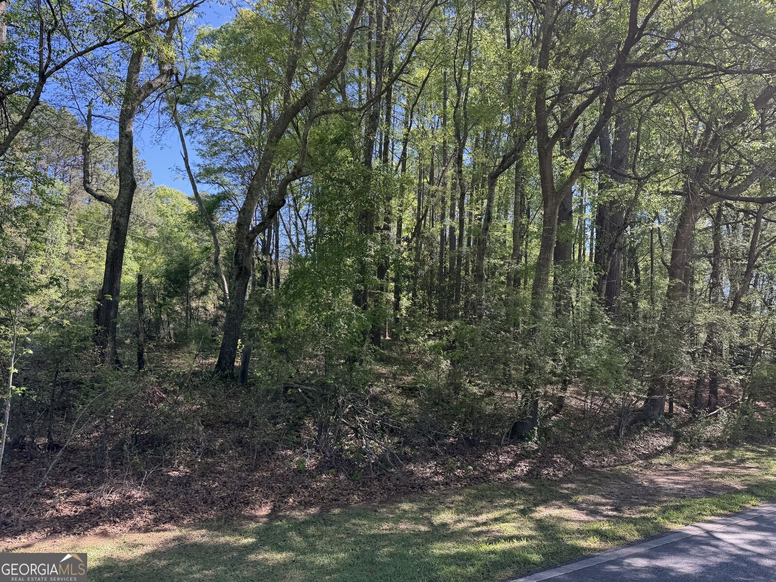 Property Photo: 1.47 Acres Roberts Quarters Road GA 30206
