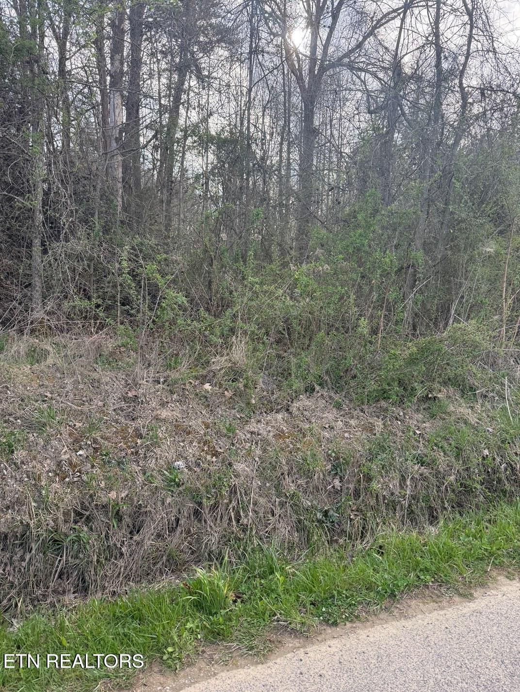 Property Photo:  Griffith Rd  TN 37367 