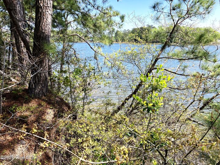 Property Photo:  00 Lukeath Carter Drive  NC 28532 