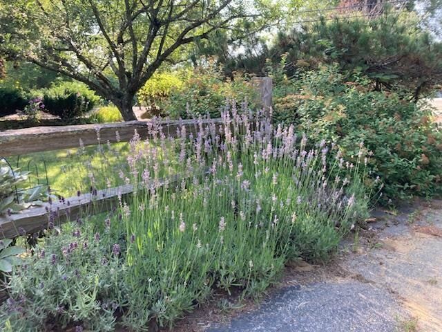 Property Photo:  189 Leavitt Road  NH 03220 