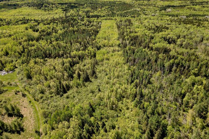 Property Photo:  1430 Highway 242  NS B0L 1G0 