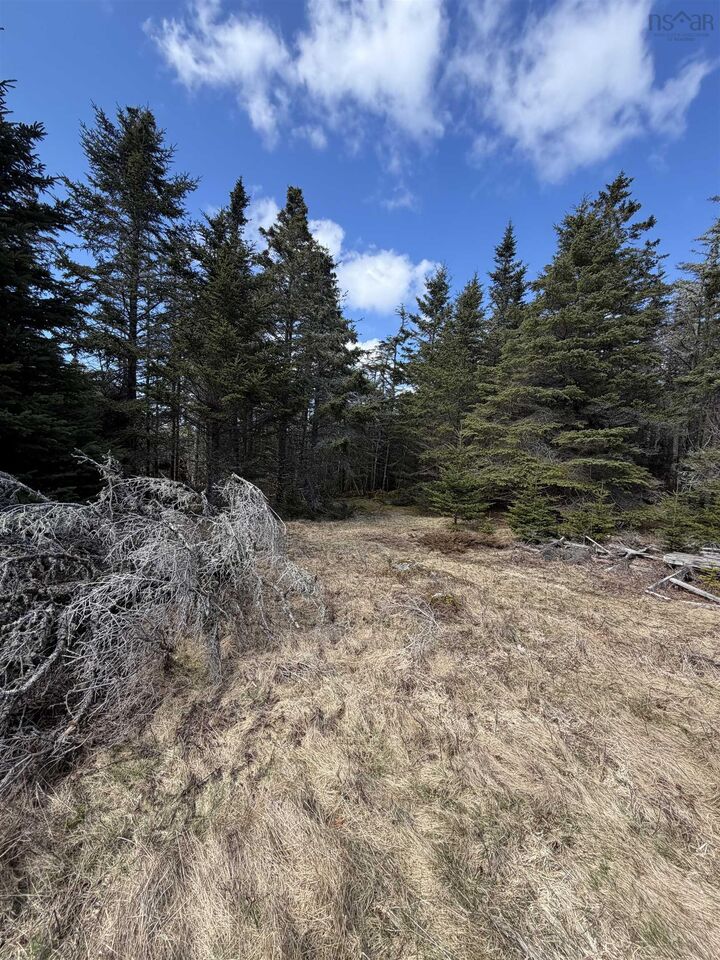 Property Photo:  Lot Dj-1 Stoney Island Road  NS B0W 3J0 