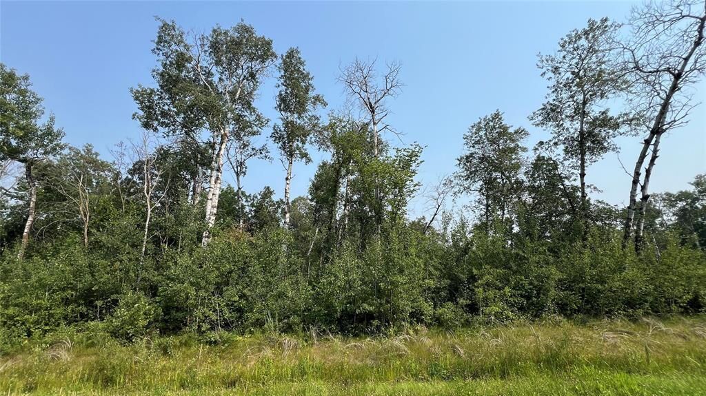 Photo de la propriété:  0 Lilac Lane  MB R0A 0W2 