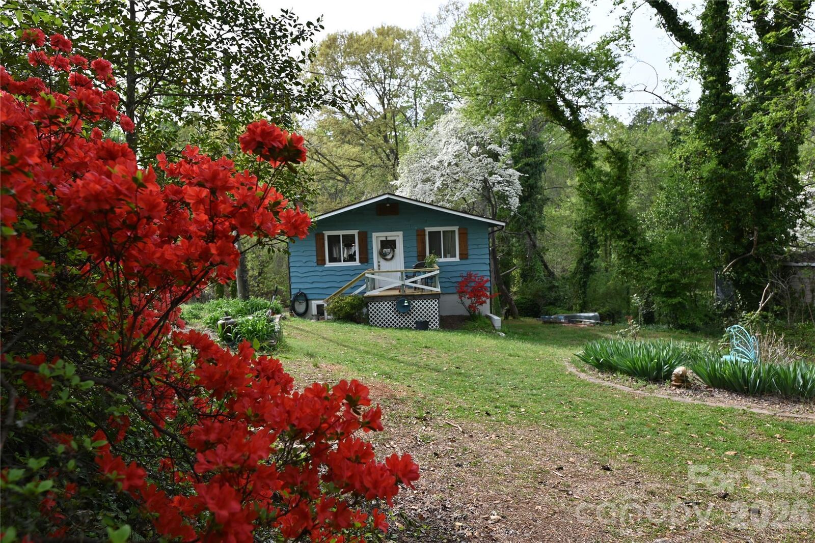 Property Photo:  198 Clouse Lane  NC 28681 