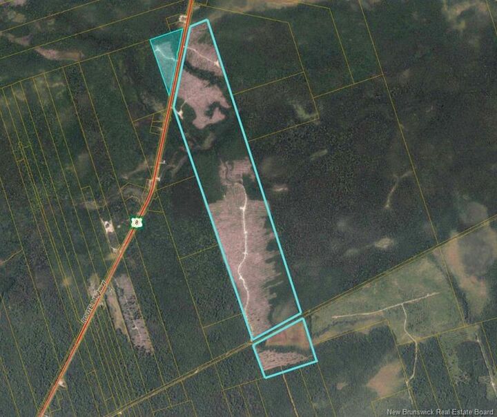 Property Photo:  - Timberland - Rte 8 Upper Blackville  NB E9B 1Z5 