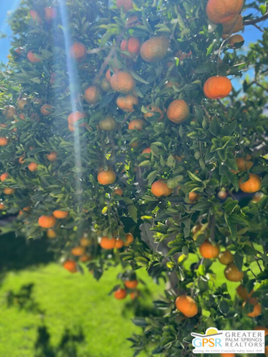 Property Photo: 572 N Calle Marcus CA 92262