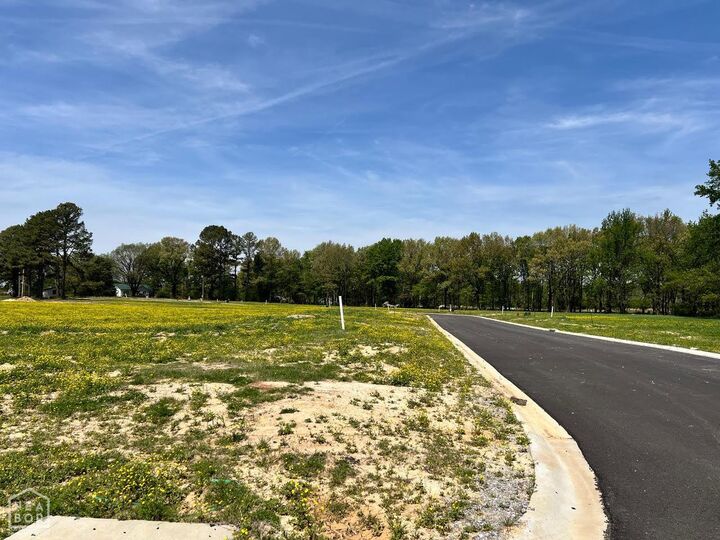 Property Photo:  111 Horseshoe Creek Drive  AR 72417 