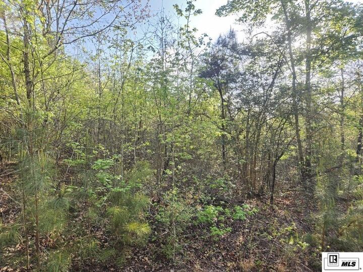 Property Photo: 0 Richard Linder Road LA 71225
