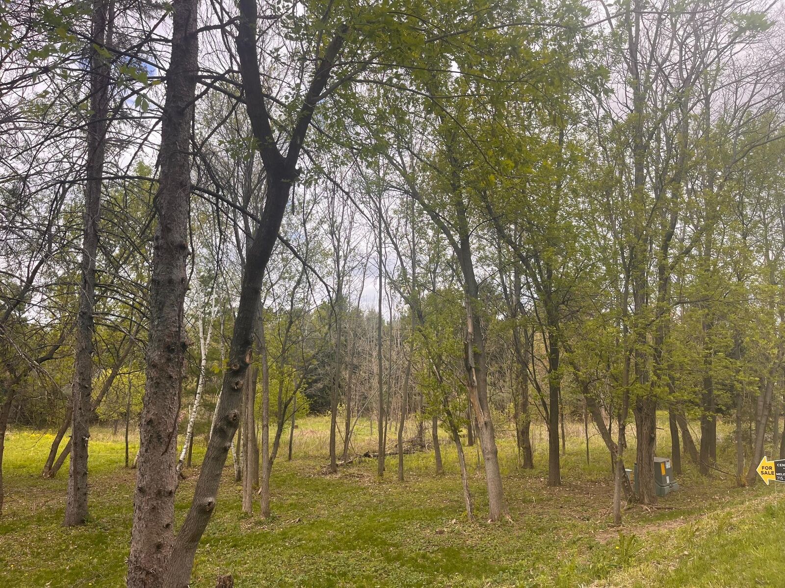 Property Photo:  8xx 207th Street  WI 54009 