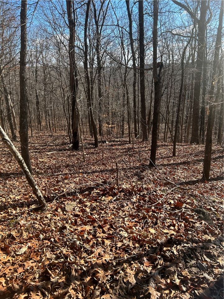 Property Photo: Madison 3605 AR 72742