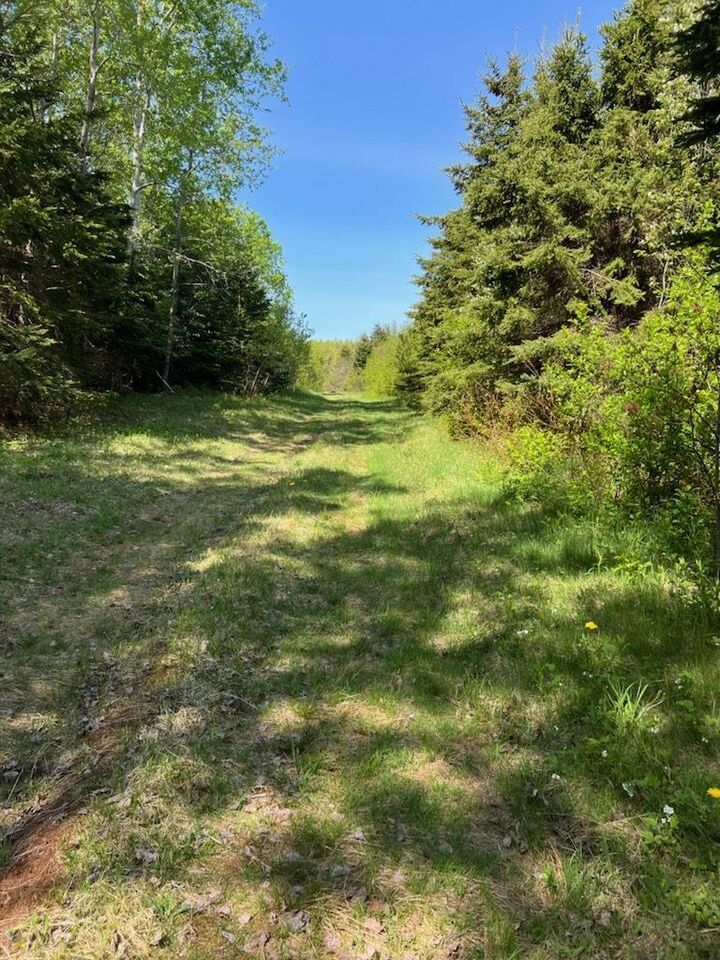 Property Photo:  1828 Route 320 - Brothers Road  PE C0A 1A0 