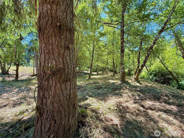 Property Photo:  127  Sawall G  WA 98531 
