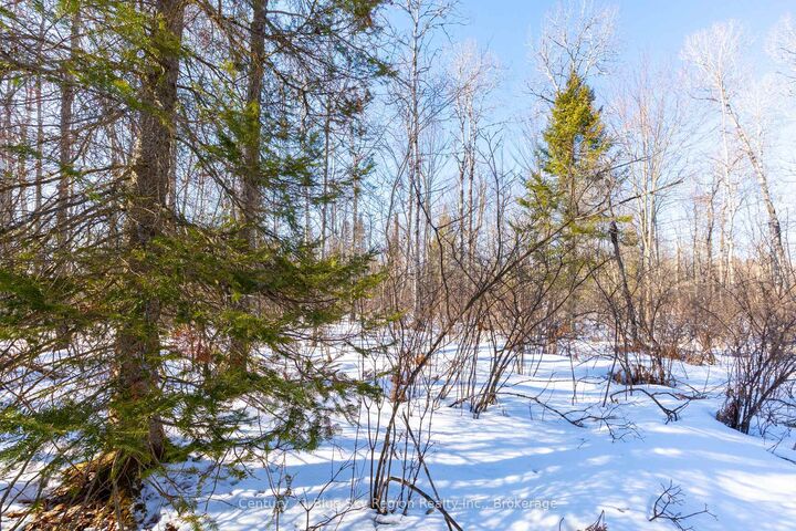 Property Photo:  37 Macpherson Drive  ON P0H 1K0 