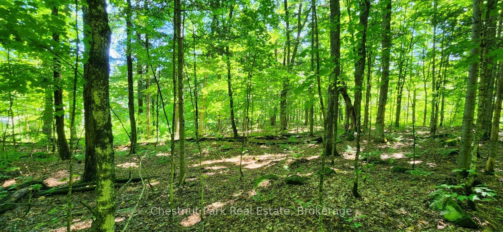 Property Photo:  0 Skyline Drive  ON P0A 1C0 