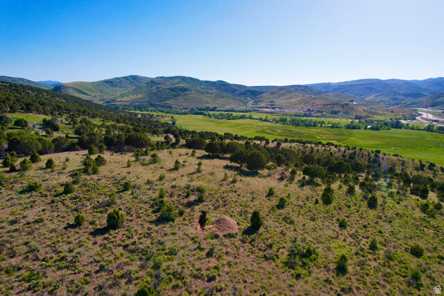 Property Photo:  159 Lewis View Way Lvs-2  UT 84017 