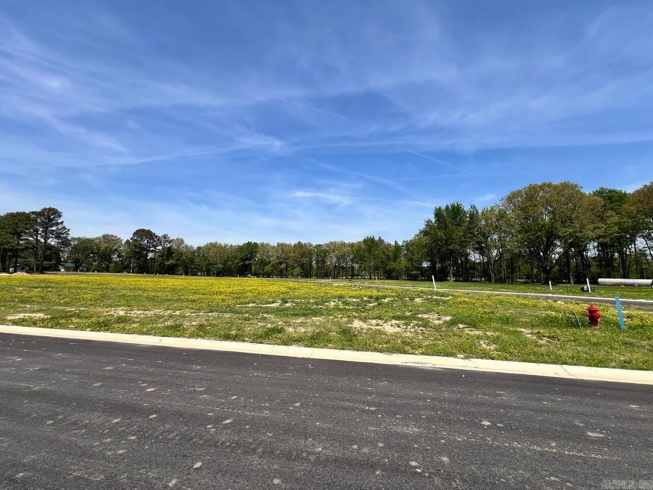 Property Photo:  111 Horseshoe Creek Drive  AR 72417 