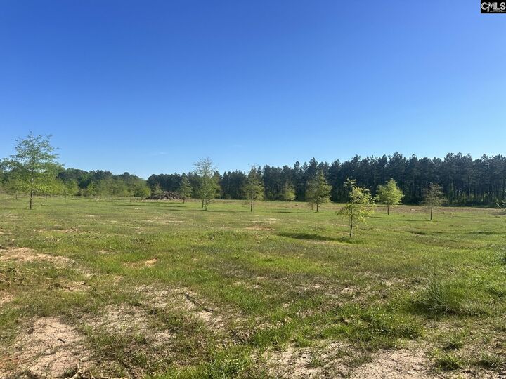 Property Photo:  2145 Livingston  SC 29126 