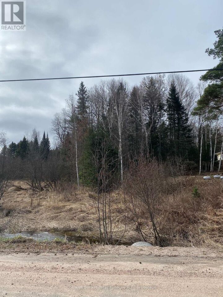 Property Photo: Lt 21 Pcl 21923 Sec Nip Pt Lt 21 Con 10 Road ON P0H 1Z0