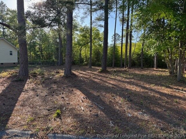 Property Photo: 213 Waddell Drive NC 28301
