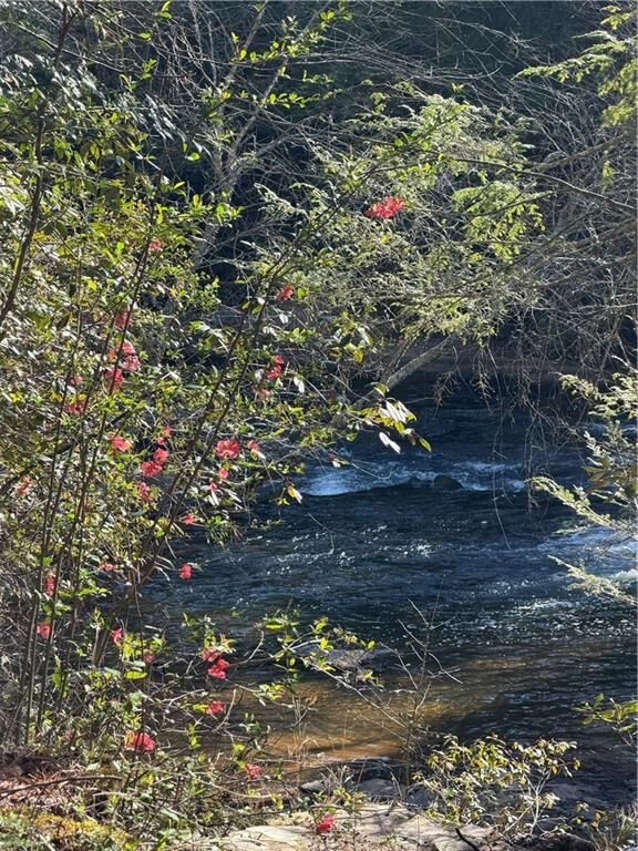 Property Photo: 0 Frogtown Place GA 30533