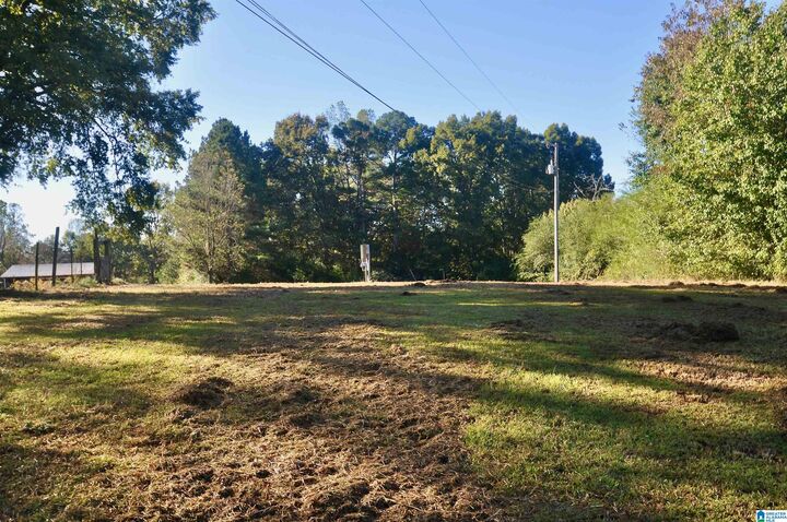 Property Photo:  481 County Road 1122 0  AL 35179 