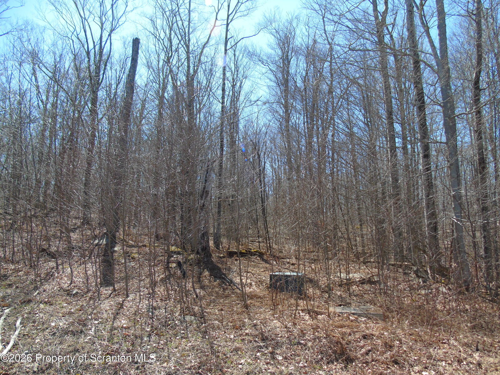 Property Photo: 145 Summit Woods Road PA 18444