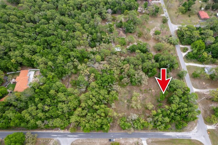 Property Photo:  16021 Forzando Avenue  FL 34604 