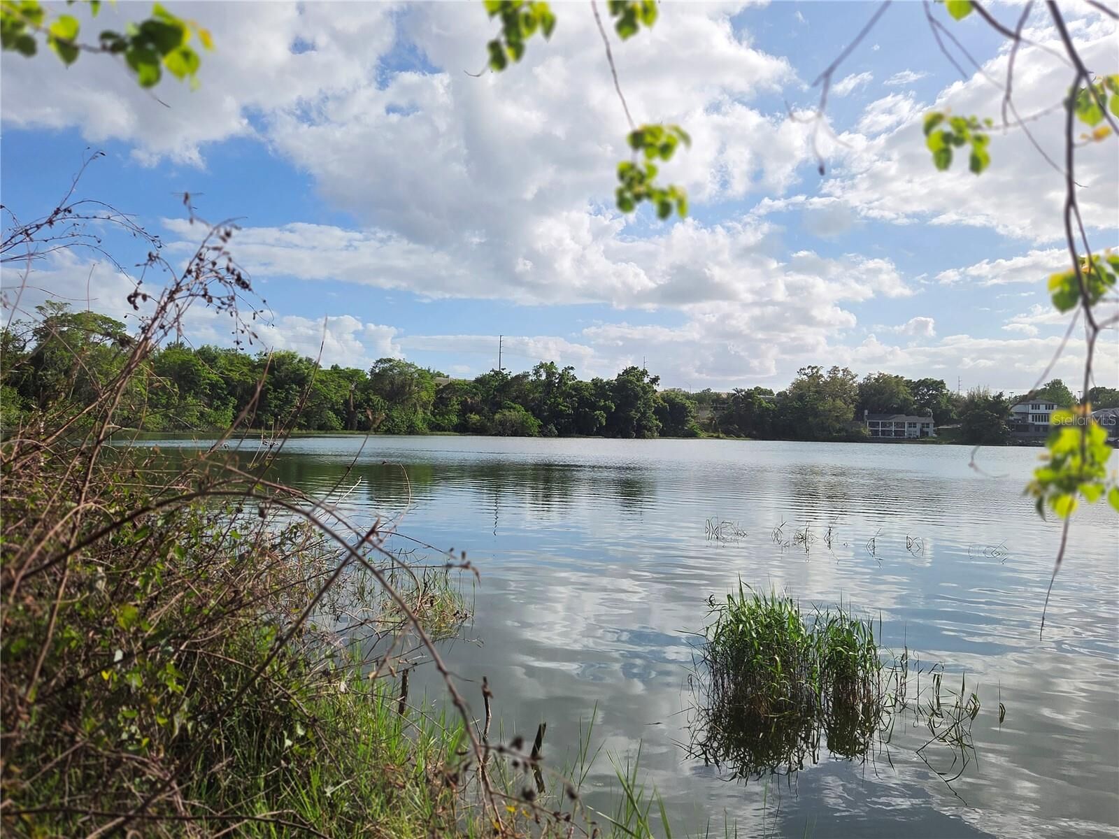 Property Photo:  1408 Westmoreland Avenue  FL 32726 