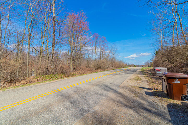 Property Photo:  V/L 17 Mile Road  MI 49342 