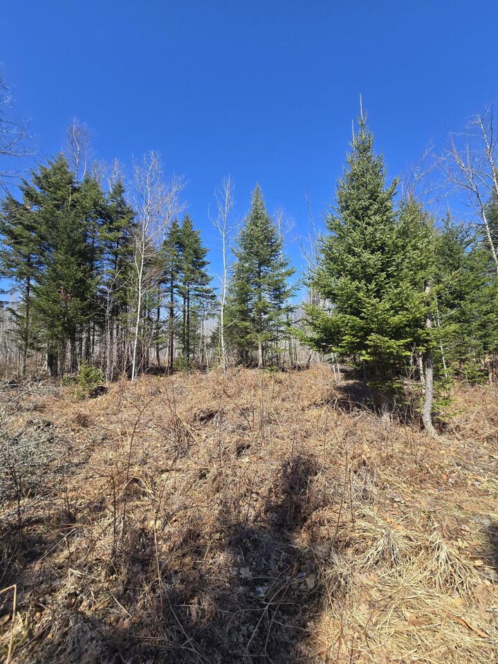 Property Photo:  00 Chadbourne Road  ME 04942 