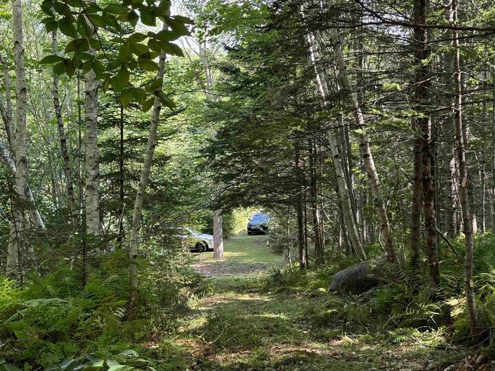 Property Photo:  2553 Morse Road  NS B0S 1C0 