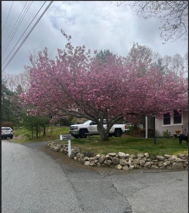 Property Photo:  47 Cliff Rd  MA 02532 