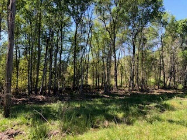 Property Photo:  620 Highway 62  TX 77632 