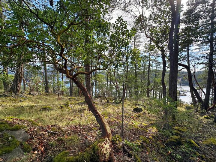 Property Photo:  Lot 14 Flagship Road  BC V0N 1S1 