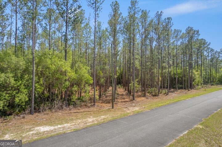 Property Photo:  Lot 22 Heritage Way  GA 31543 