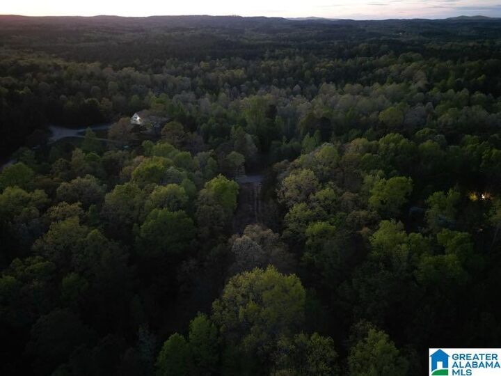 Property Photo:  456 County Road 65 0  AL 36262 